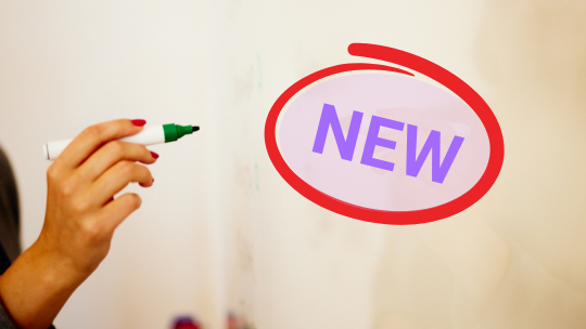 Human rights crisis simulation