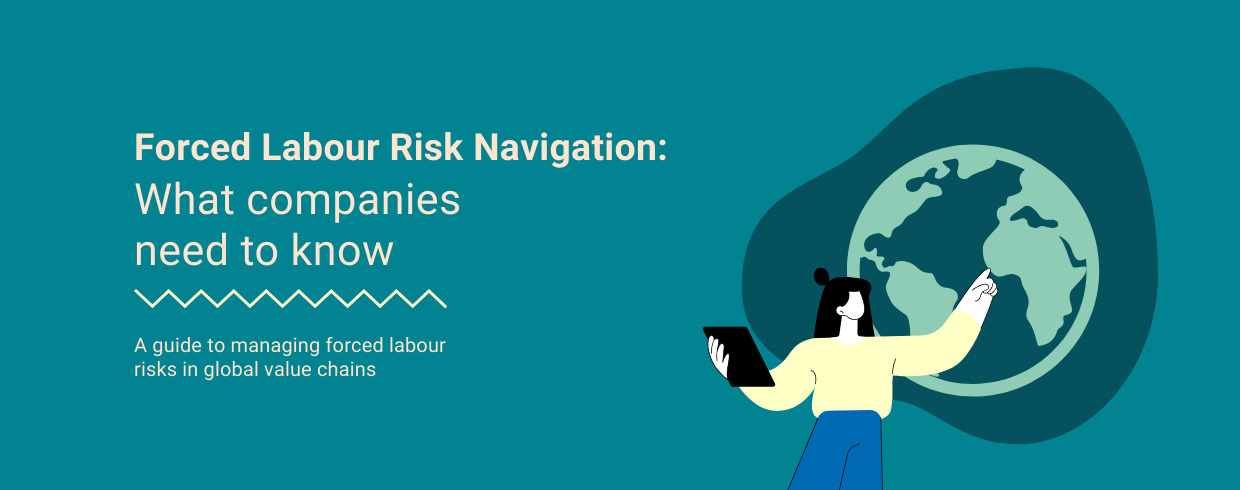 Forced labour risk navigation guide
