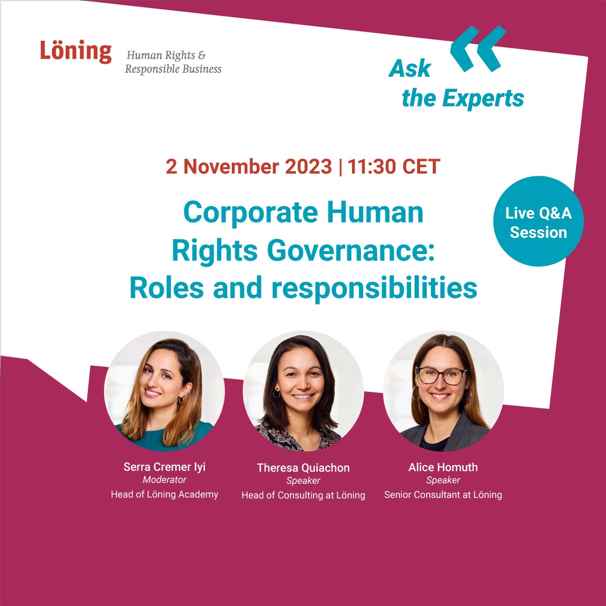 Corporate Human Rights Governance Roles And Responsibilities Löning