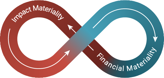 graphic infinity impact materiality and Financial materiality