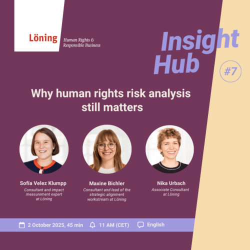 Insight Hub 7: Why human rights risk analysis still matters